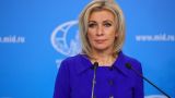 МИД России: Зеленский плохо ознакомился со стенограммой заявления Путина
