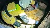 ДАН: За годы вооруженного конфликта в ДНР погибли 30 сотрудников МЧС Республики