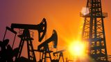 Тбилиси выдал новые лицензии на добычу нефти и газа в Грузии