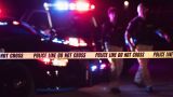 В США пять человек ранены при стрельбе в торговом центре