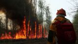 В Якутии горят леса на площади около 1,8 тысячи гектаров