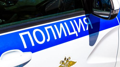 В Пермском крае за манекен приняли тело девушки, насаженное на острые части забора